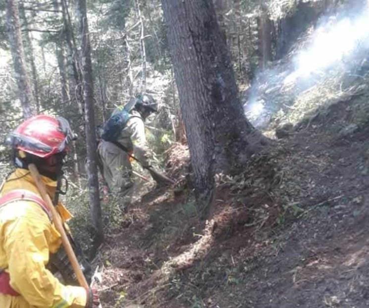 Proponen prohibir encender fogatas en montañas
