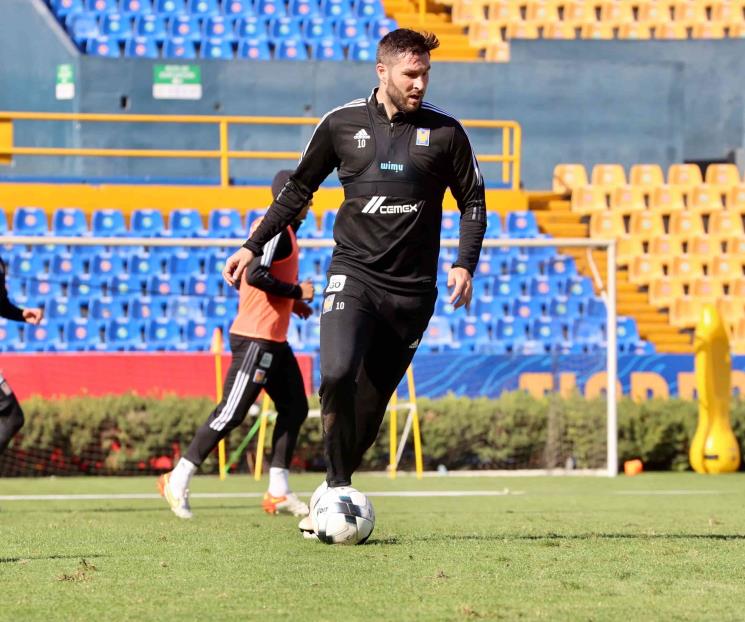 Entrenan felinos con ausencias