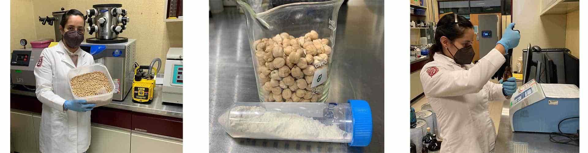 Investiga IPN actividad del garbanzo contra cáncer de colon