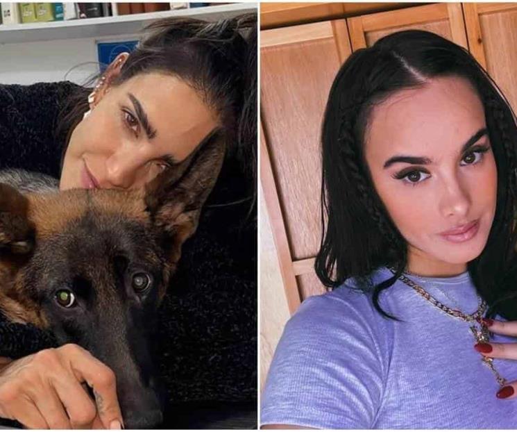 La muerte de un perro desata guerra entre actrices