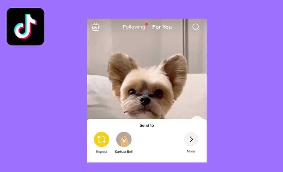 TikTok prepara un botón similar al de retweet en Twitter