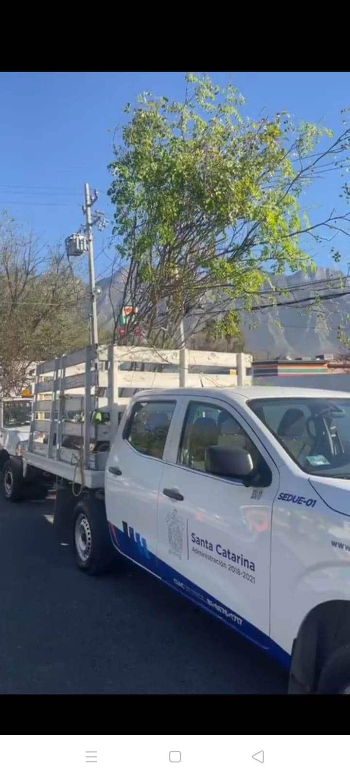 Inician reforestación en Santa