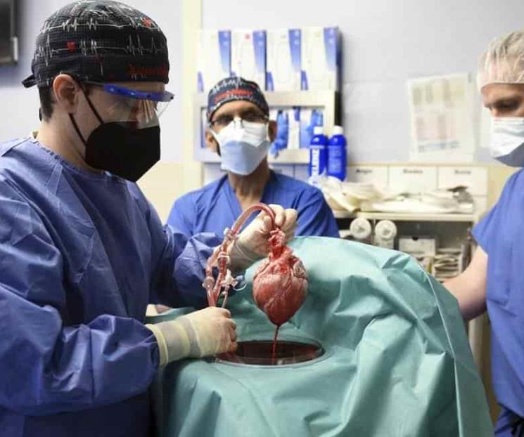 Trasplante de corazón cerdo a humano