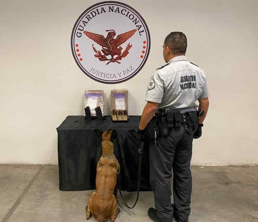 Detectan cartuchos y cargadores para arma larga en una empresa de paquetería
