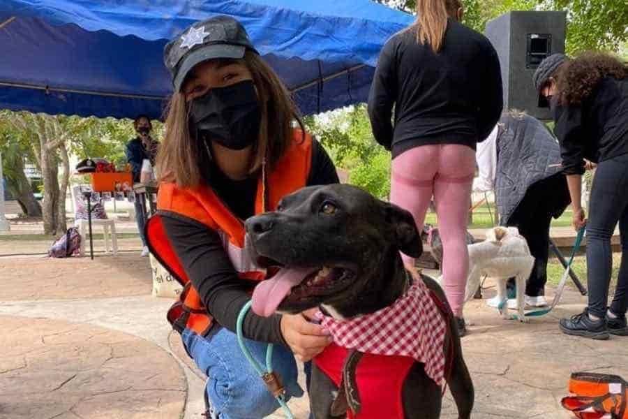 Alumnos ayudan a perros en situación de calle