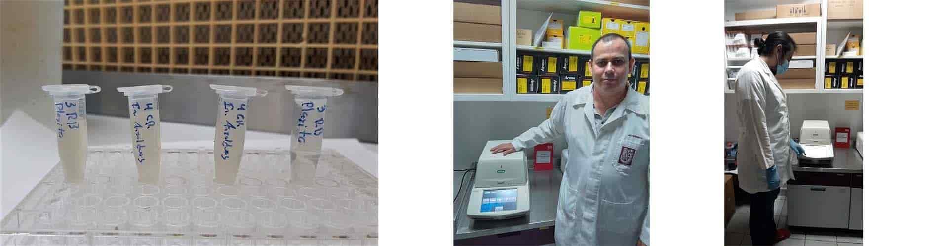 Evalúa muestras para detectar SARS-CoV-2 en aguas residuales