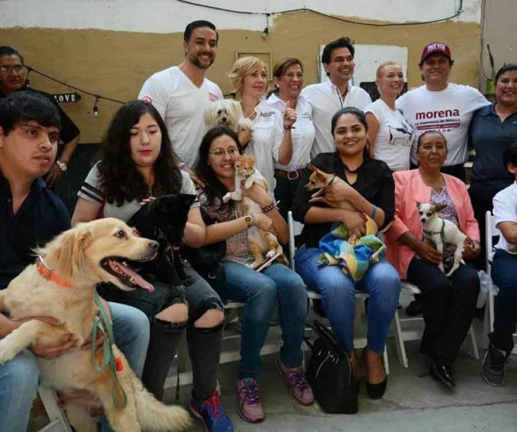 Exigen a Gobernador cumplir con agenda de bienestar animal