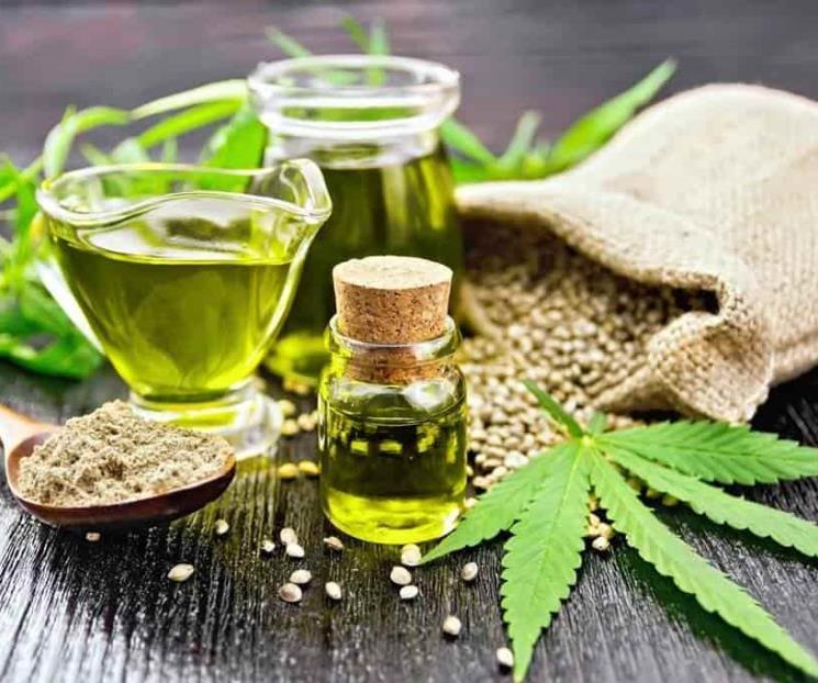 Conoce qué es el hemp