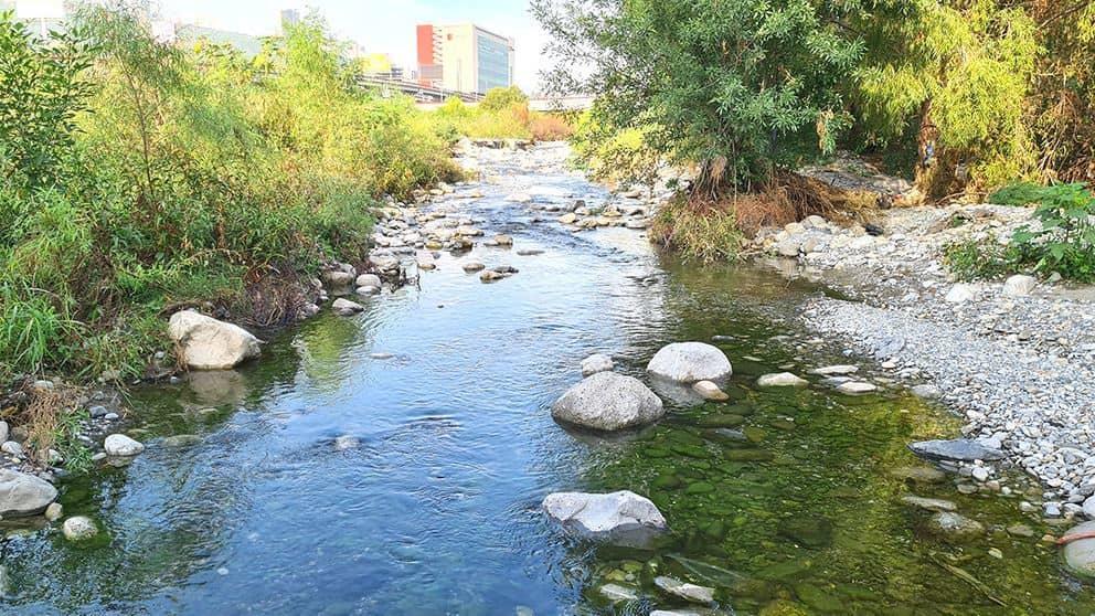 Enriquecerán conocimiento sobre el río Santa Catarina