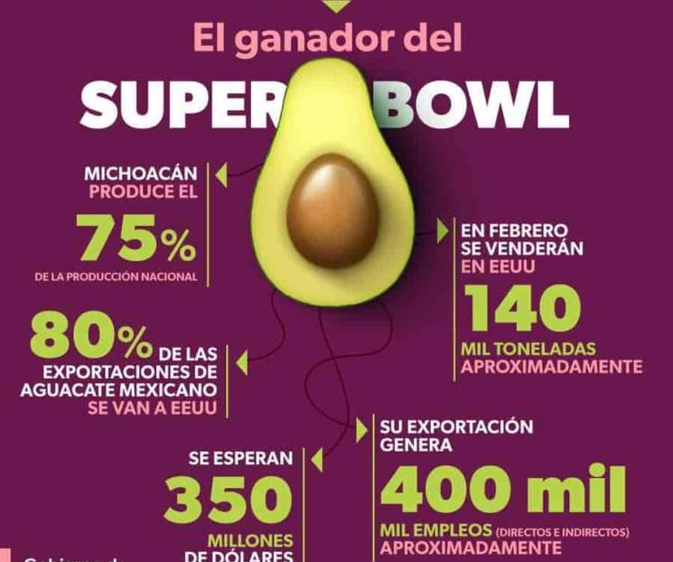 Buscan restablecer exportación de aguacate a EU