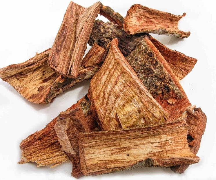 Científicos hallan cortezas para aliviar la colitis