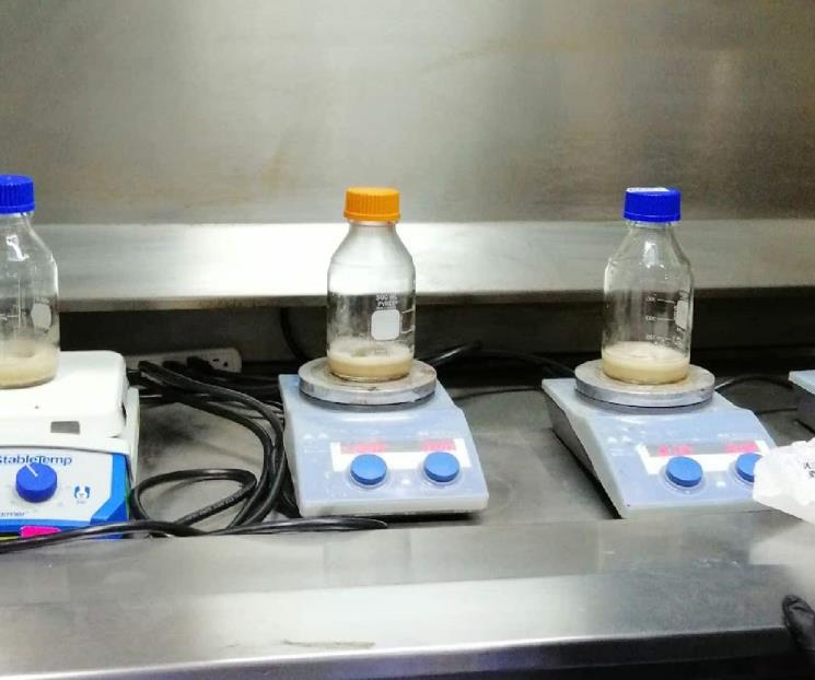 Generan alternativa ecológica, bioplástico de plátano verde