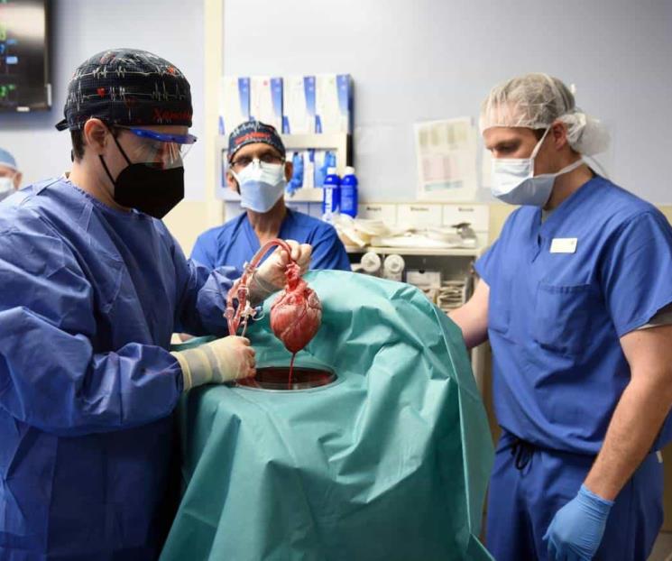 Buscan crear conciencia en la importancia de donar órganos Buscan crear conciencia en la importancia de donar órganos