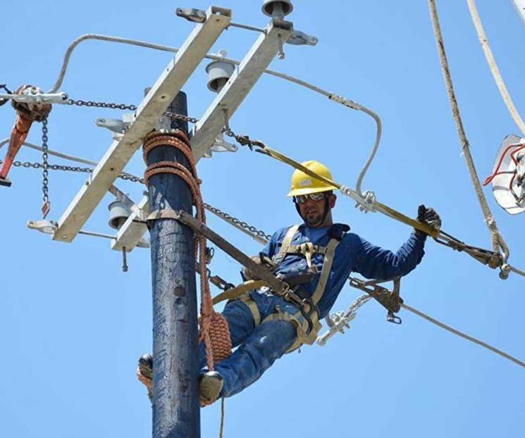 CFE, con mayor pérdida en más de una década CFE, con mayor pérdida en más de una década