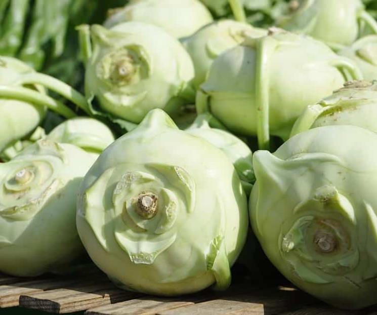 ¿Qué es el colinabo y cuáles son sus beneficios?