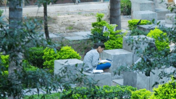 Actualiza UANL enseñanza de desarrollo sustentable