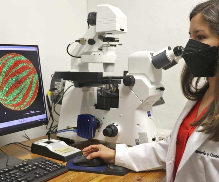 Traspasa fronteras con bioimpresión de tejido muscular
