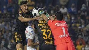 Les falta a felinos una buena defensa