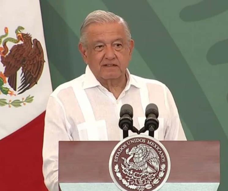Llamar borregos a parlamentarios europeos no es un insulto