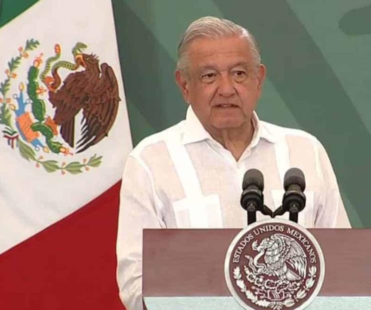 Llamar borregos a parlamentarios europeos no es un insulto
