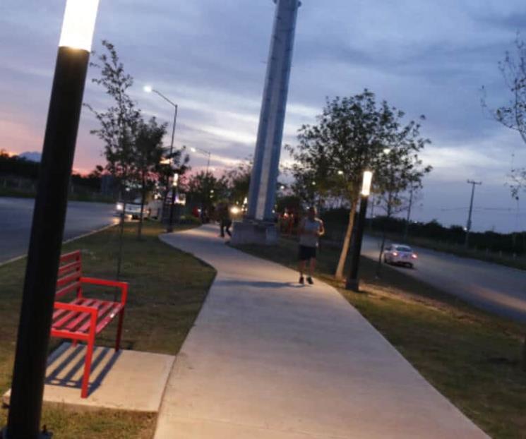 Reforestan parque en Juárez