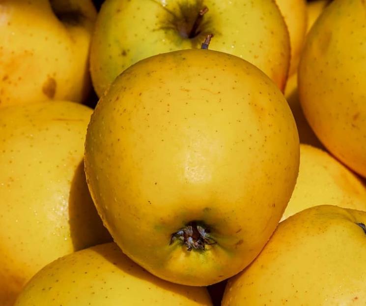 Ocho alimentos que toda mujer debe incluir en su dieta