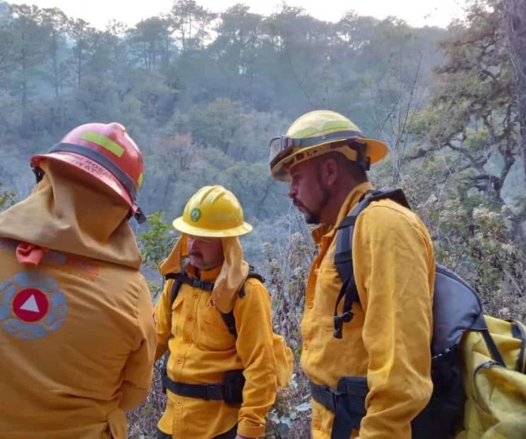 Combaten incendio en Las Adjuntas