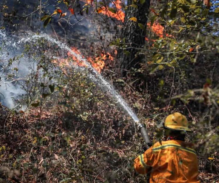 Controlan incendio en Santiago en un 40%