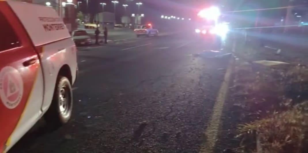 El conductor de un auto falleció y sus dos acompañantes resultaron lesionados luego de estrellarse contra un árbol