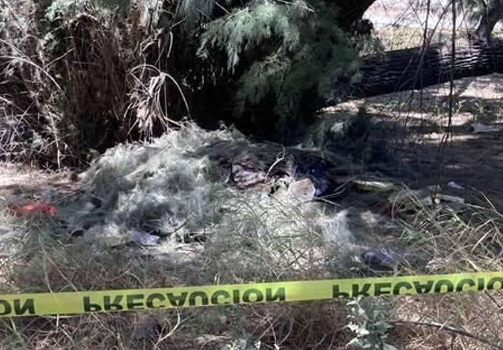 Indagan la muerte de un hombre que fue encontrado en estado de descomposición y cubiertos con ramas