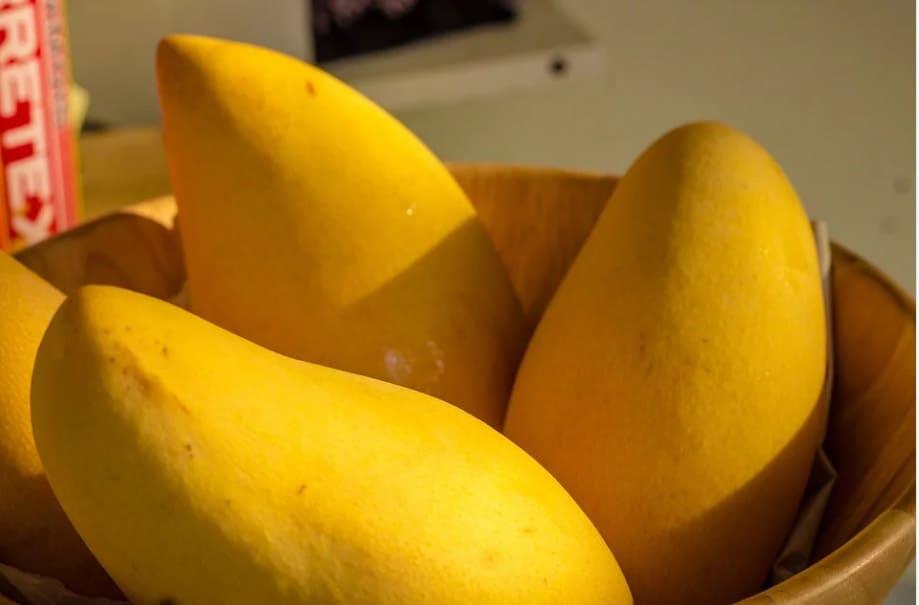 Mango, la fruta de temporada que regula azúcar en la sangre