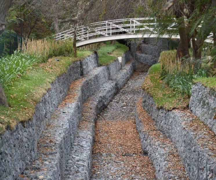 Amplian en San Pedro labores ambientales