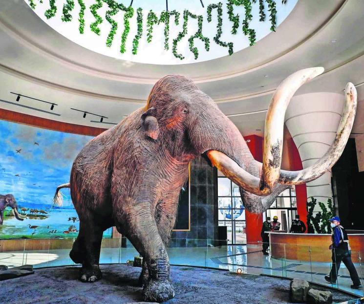 Museos del Mamut y de Aviación Militar, forman parte de AIFA