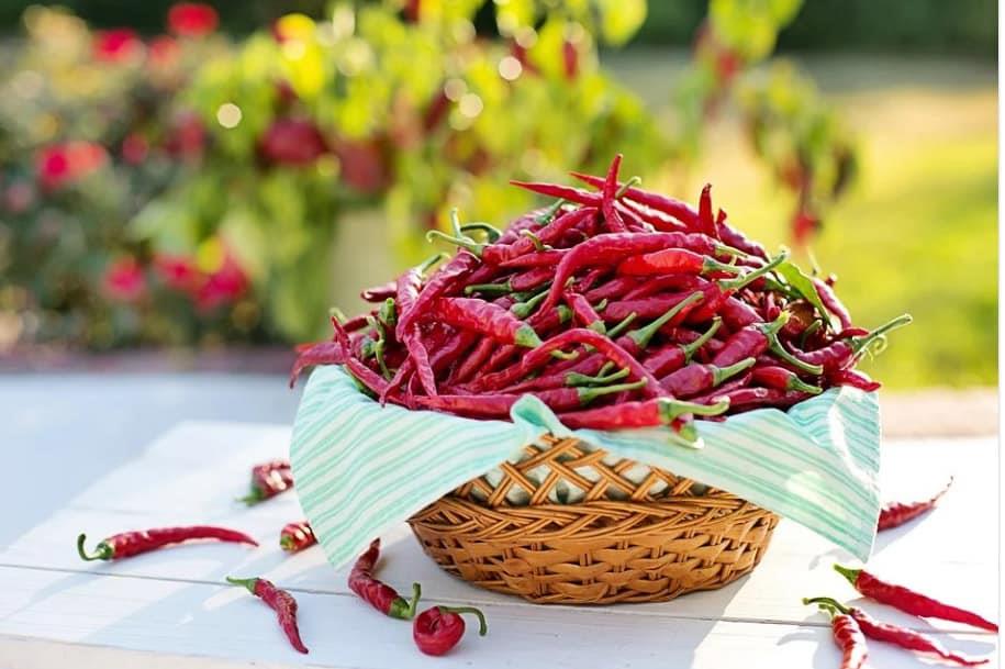 Cinco beneficios de la comida picante para el organismo