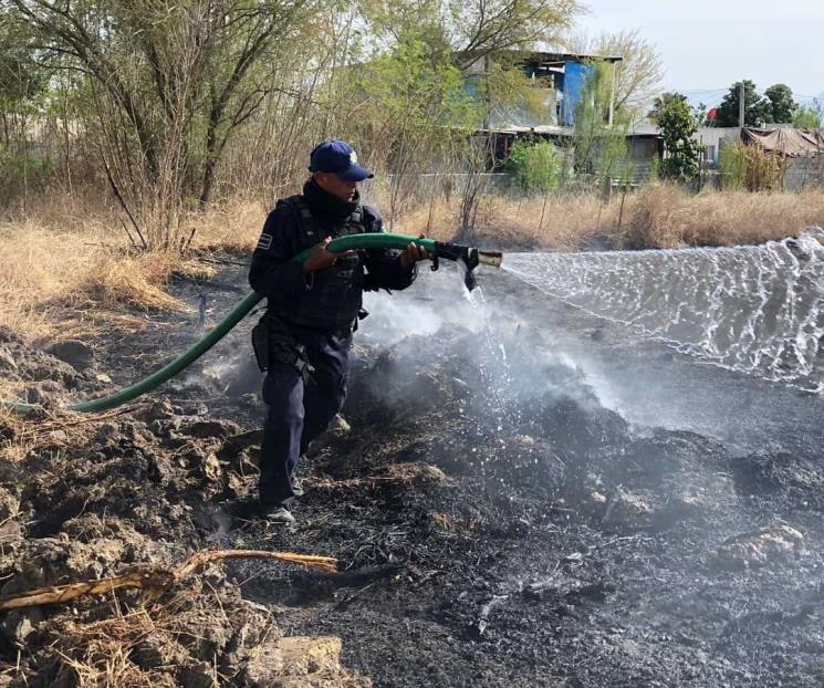 Se incendia pastizal en Montemorelos