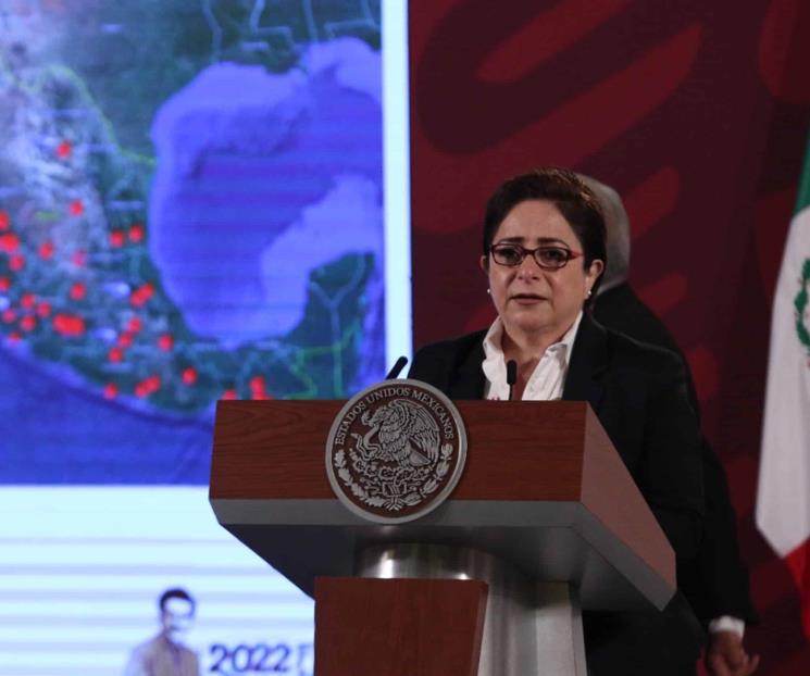 En México suman 33 incendios forestales activos: PC