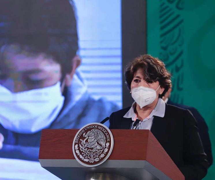 PVEM pide comparecencia de Delfina Gómez