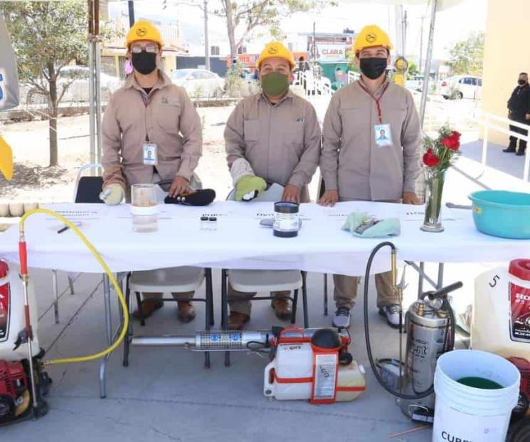 Redoblarán campaña contra el mosquito transmisor del dengue