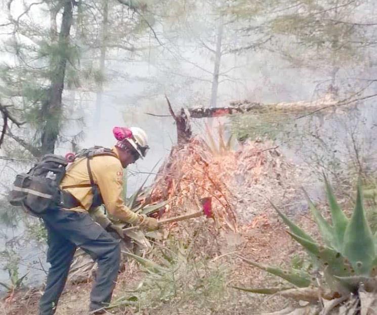 Sancionarán con 10 años de prisión a incendiarios