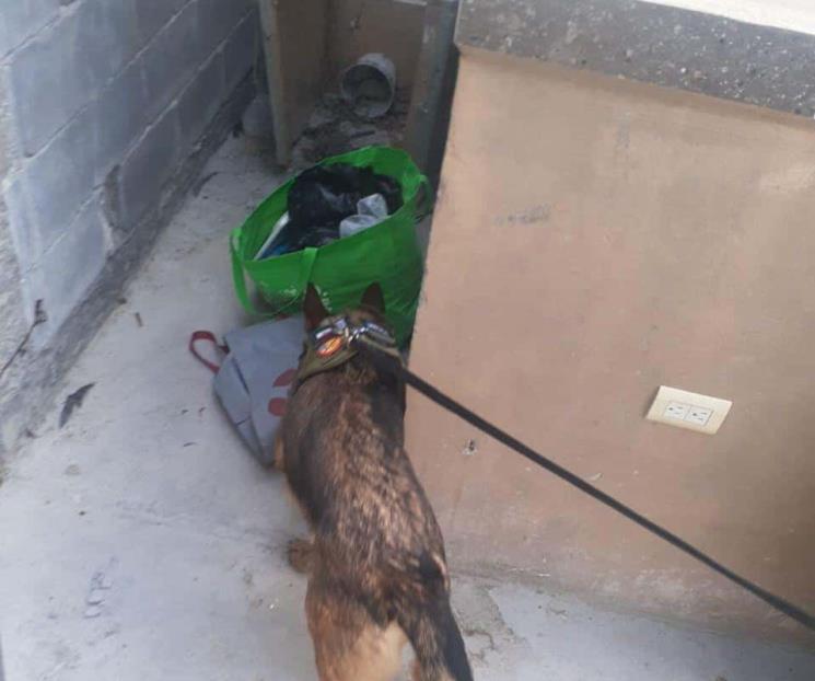 Aseguran drogas tras cateo en García Aseguran drogas tras cateo en García