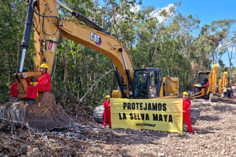 Pide Greenpeace suspender obras del Tren Maya