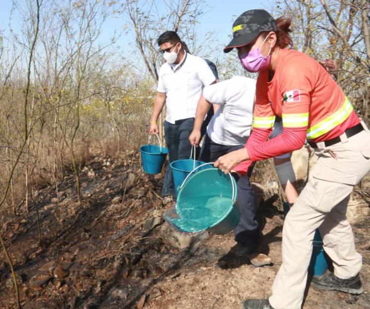 Apagan fuego de terrenos baldíos en Escobedo