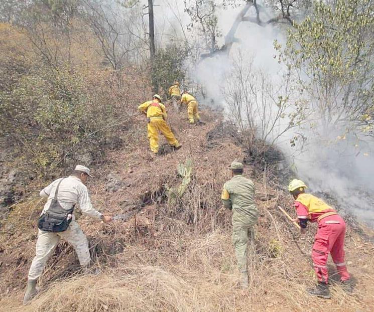 Se extiende incendio a Rayones; logran control del 50%