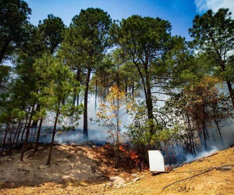 Y prohíben carnes asadas en Parque Nacional Cumbres