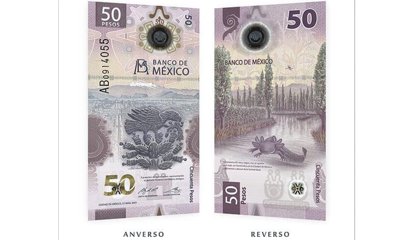 Billete de ajolote gana premio al mejor del año en el mundo