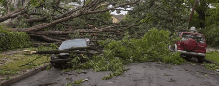 Tormentas dejan dos muertos en Georgia y Texas