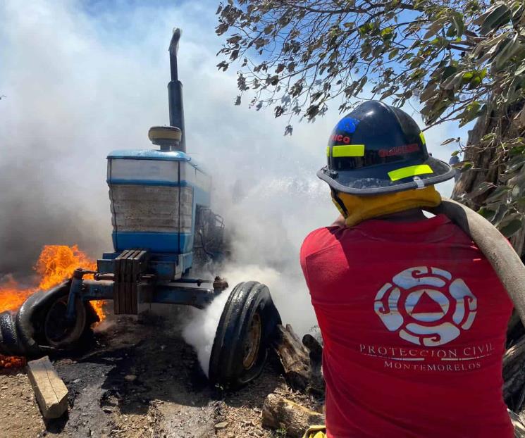 Mueren caballos calcinados en Montemorelos