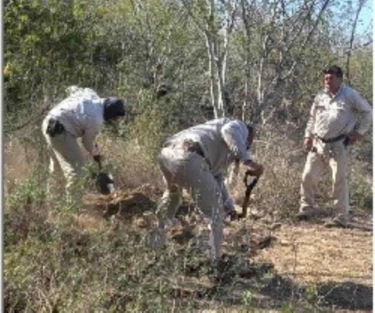 Descubren tomas clandestinas en Montemorelos Descubren tomas clandestinas en Montemorelos