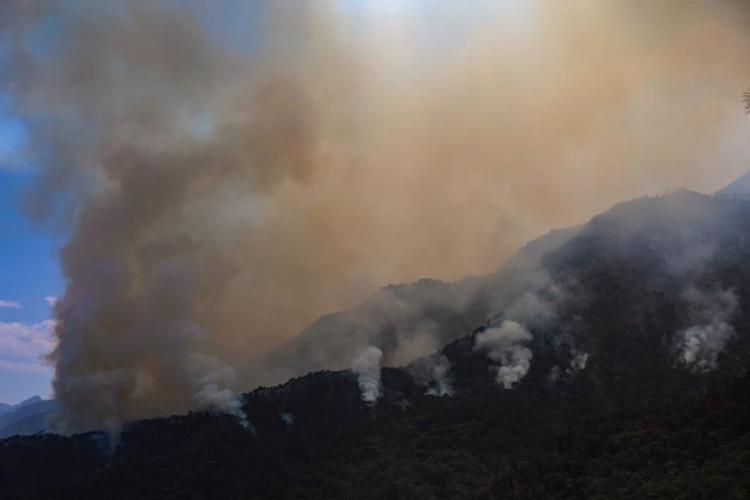 imagen-cuerpo imagen-cuerpo