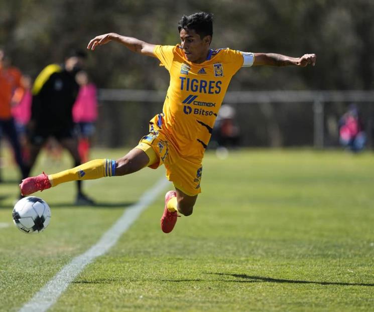 Vuelven Tigres Sub-20 al triunfo; vencen a Gallos Vuelven Tigres Sub-20 al triunfo; vencen a Gallos